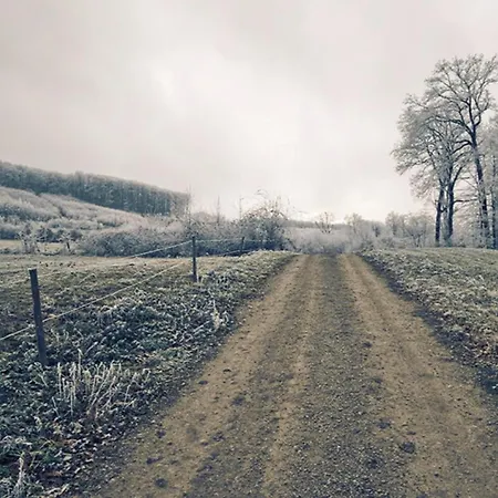 Lejlighed Wienerwaldblick *