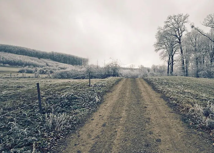 Apartment Wienerwaldblick *