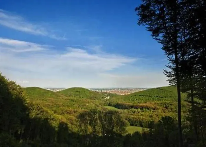 Wienerwaldblick Apartment *